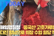 [한영신문 뉴스투데이] 해양경찰청, 중국산 고춧가루를 다진 양념으로 위장 수입 일당 적발
