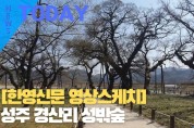 [한영신문 뉴스투데이] #성주 경산리 성밖숲