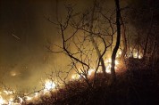 [한영신문 뉴스투데이] 경북 성주군, 야간산불발생...산림당국 진화중