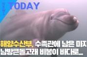 [한영신문 뉴스투데이] 해양수산부, 수족관에 남은 마지막 남방큰돌고래 비봉이 바다로...