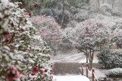 신안군, ‘섬 겨울꽃 축제’ 연기