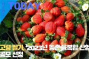 [한영신문 뉴스투데이] 고령 딸기, ‘2023년 농촌 융복합 산업지구’ 공모 선정