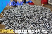 [한영신문 뉴스투데이] 제주해경, 불법조업 어선 4척 적발