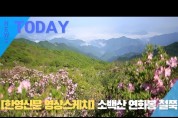 [한영신문 영상스케치] #소백산 연화봉 철쭉