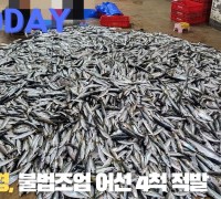[한영신문 뉴스투데이] 제주해경, 불법조업 어선 4척 적발